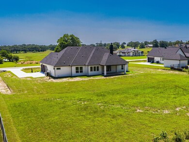 1027 Henry Way, Springtown, TX 76082 - photo 6