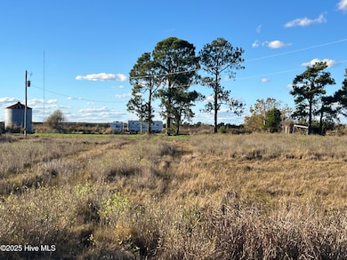 1507 White Plains Rd, Engelhard, NC 27824 - photo 6