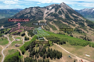 F26 Prospect Dr, Mt. Crested Butte, CO 81225 - photo 2