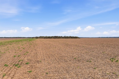 TBD County Road 264, Cameron, TX 76520 - photo 6