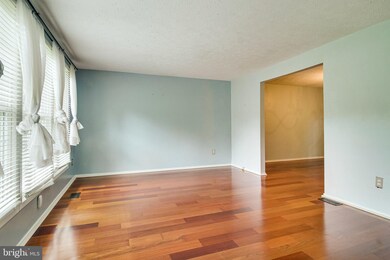 8301 Old Tree Ct, Springfield, VA 22153 - photo 6