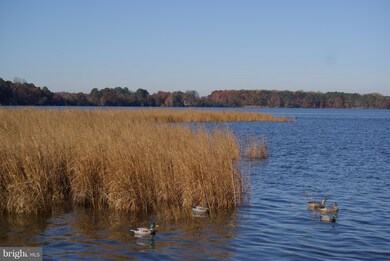 0 Orchard Rd unit 1000977819, Trappe, MD 21673 - photo 5