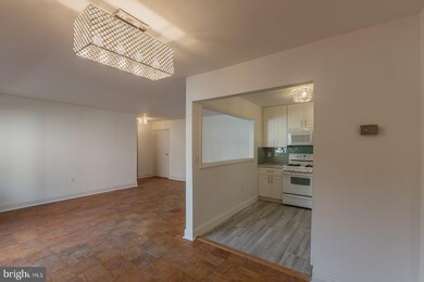 6139 Leesburg Pike unit 304, Baileys Crossroads, VA 22041 - photo 5