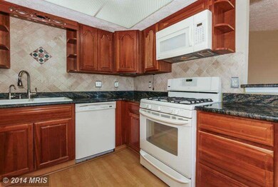 3705 Mazewood Ln, Fairfax, VA 22033 - photo 6