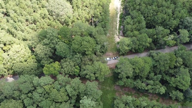 Tract V-4 Jim Price Rd, Greenwel Springs, LA 70739 - photo 6