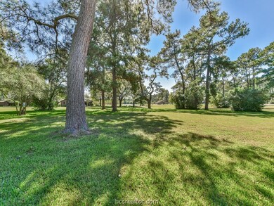 0 Cardinal unit 17017357, Hockley, TX 77447 - photo 5