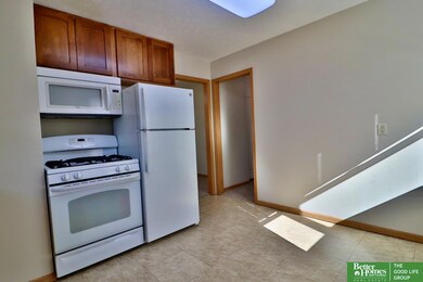 4173 S 61st St, Omaha, NE 68117 - photo 7