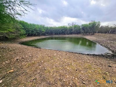 415 Black Watch Ln, Lockhart, TX 78644 - photo 3