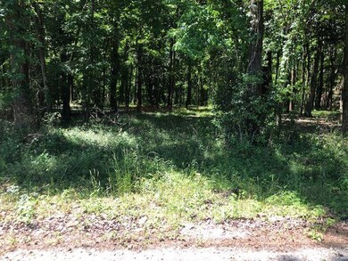 XX Oakwood Trail, Crawfordville, FL 32327 - photo 4