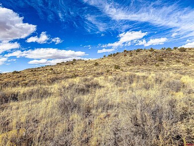 0 Cavalry Trail unit 826006, San Luis, CO 81152 - photo 7