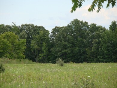 DSC06151