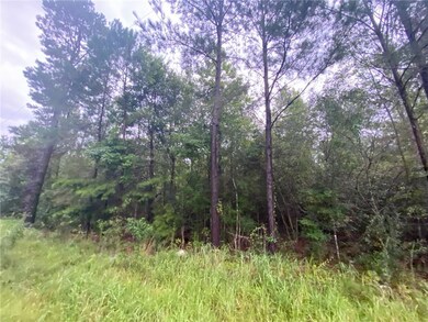 00 Tob Wilson Rd, Franklinton, LA 70438 - photo 4