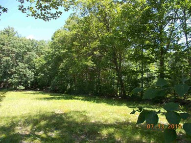 0 Burnham Rd unit 4764548, Freedom, NH 03836 - photo 7