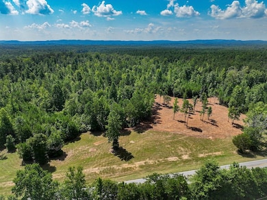 0 Coaling Rd unit 24403018, Sylacauga, AL 35151 - photo 7