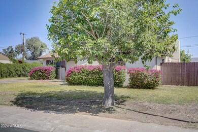 Front Yard