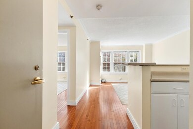 The Charlesview unit 302, Boston, MA 02215 - photo 3