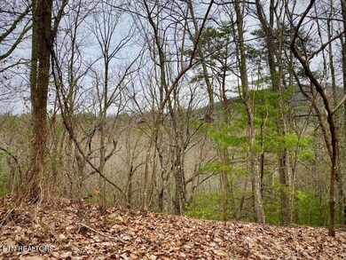 0 Oliver James Way unit 1278736, Sevierville, TN 37862 - photo 3