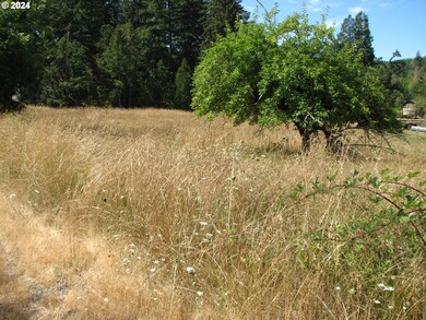 31342 Firview Ln, Creswell, OR 97426 - photo 3