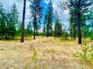 0000 Couples Ct Lot 4 Ct, Chewelah, WA 99109 - photo 7