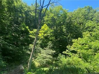 0 Good Rd unit 703606, Lower Mount Bethel Township, PA 18013 - photo 2