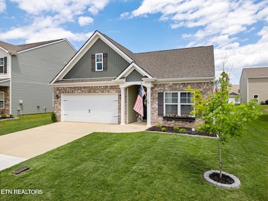 8636 Satellite Ln, Knoxville, TN 37920 - photo 4