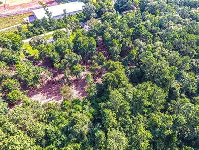 28400 Sweetgum Rd, Magnolia, TX 77354 - photo 6