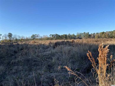 TBD Lambert Rd unit 32.42 Acres, Conway, SC 29526 - photo 2