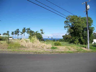 0 Mamalahoa Hwy, Hilo, HI 96720 - photo 3