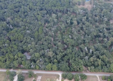 TBD Rd, Conroe, TX 77301 - photo 3