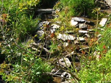 0 Pine Ridge Rd unit 512930, Andreas, PA 18211 - photo 3