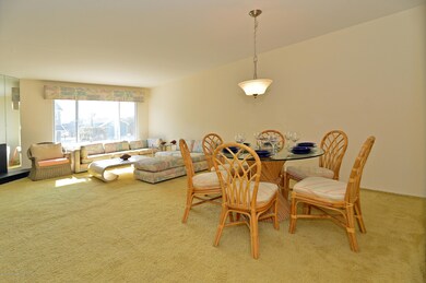 Dining & Living Room