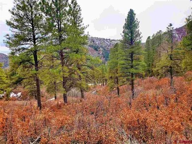 0 Bell Flower Ct unit 767546, Durango, CO 81301 - photo 2