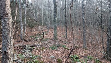 0 Campville Hill Rd, Harwinton, CT 06791 - photo 3