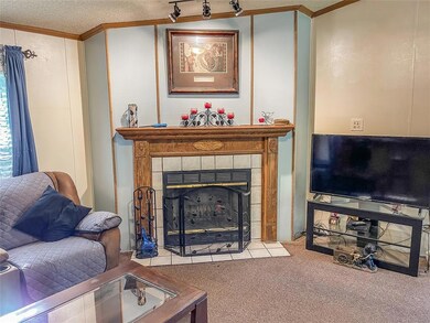 3038 De Leon Dr, Weatherford, TX 76087 - photo 5