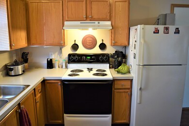 Stove & Fridge