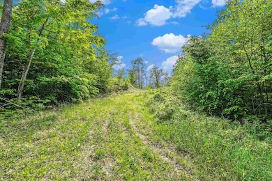 Lot 3 High Pines Trail, Boyne City, MI 49712 - photo 4
