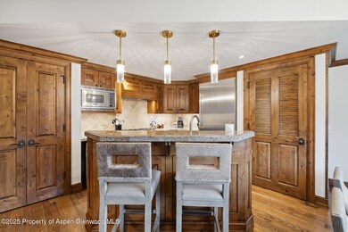 415 E Dean St #25 Week 6, Aspen, CO 81611 - photo 5