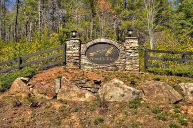 33 & 34 Fannin Overlook, Blairsville, GA 30512 - photo 5