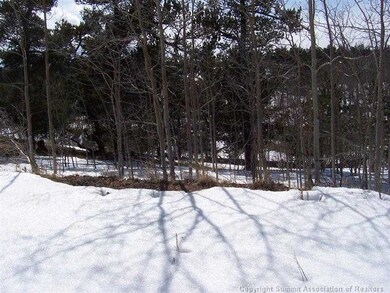 203 Falcon Rd, Como, CO 80432 - photo 2