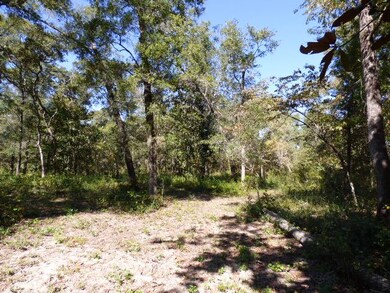 0 Swirl Ln unit 287251, Crawfordville, FL 32327 - photo 2
