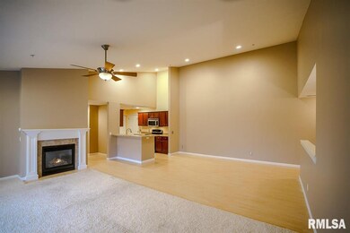4511 N Tallgrass Ln unit 204, Peoria, IL 61615 - photo 5