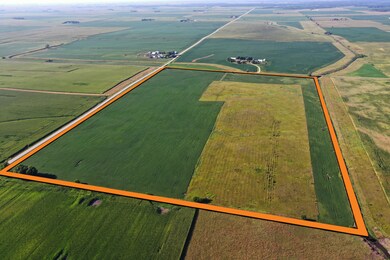 T1 BORDER DJI_0538 P1