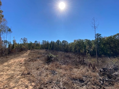 0 Vertie Hoggle Rd, North Perry, AL 36756 - photo 4