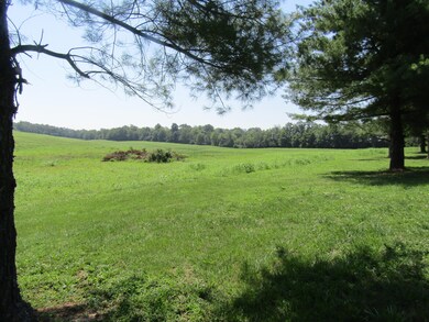 1095 Hwy 33 S unit B, Harrodsburg, KY 40330 - photo 4