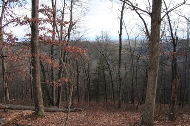 0 Supinlick Ridge Rd unit LotWP001, Mount Jackson, VA 22842 - photo 7