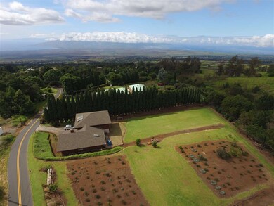 993 Upper Kimo Dr, Kula, HI 96790 - photo 3