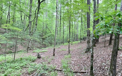 Additional View