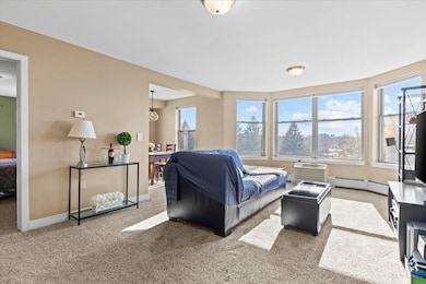 409 Farrell St unit 415, South Burlington, VT 05403 - photo 7