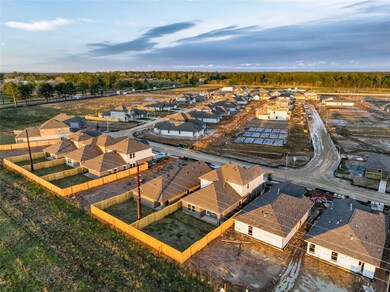 20103 Epirus Shores Dr, Hockley, TX 77447 - photo 3