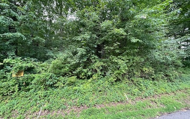 Additional View